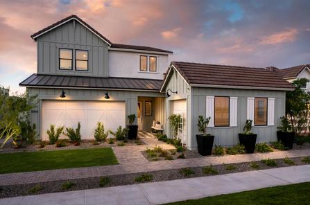Hutchison by Toll Brothers in Phoenix-Mesa AZ