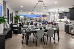 Sterling Grove - Arlington Collection by Toll Brothers in Phoenix-Mesa Arizona