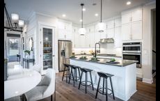 Westhaven at Ovation - Townes Collection: Winter Garden, Florida - Toll Brothers