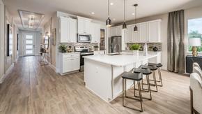 Riverside Oaks - Executive Collection by Toll Brothers in Orlando Florida
