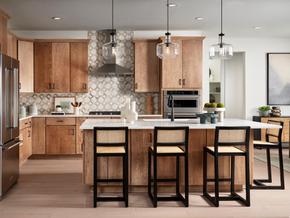 Allison Ranch - Point Collection by Toll Brothers in Denver Colorado