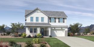 Upland - Tapestry at Destination: Mesa, Arizona - Toll Brothers