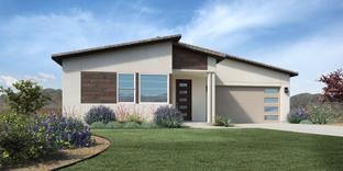 Oakboro - Preserve at San Tan - Peralta Collection: San Tan Valley, Arizona - Toll Brothers
