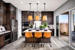 Toll Brothers at Skye Canyon - Paloma Collection - Las Vegas, NV