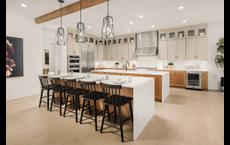 Amalyn - The Moderne Collection: Bethesda, Maryland - Toll Brothers