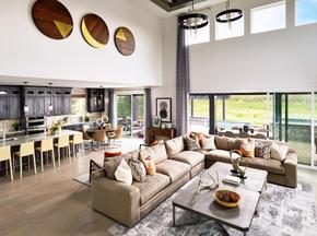 Montaine - Estate Collection by Toll Brothers in Denver Colorado
