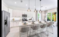 Mill Creek Forest - Meadows: Saint Johns, Florida - Toll Brothers