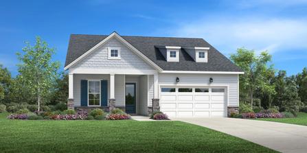 Dilworth Elite by Toll Brothers in Raleigh-Durham-Chapel Hill NC