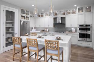 Khaya - Regency at Babcock Ranch - Terra Collection: Punta Gorda, Florida - Toll Brothers