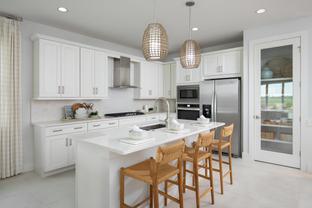 Meranti - Regency at Babcock Ranch - Terra Collection: Punta Gorda, Florida - Toll Brothers