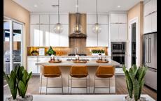 Toll Brothers at Skye Canyon - Paloma Collection: Las Vegas, Nevada - Toll Brothers