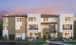 Home in Everly at Civita by Toll Brothers