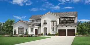 Kenney - Toll Brothers at Fields - Summit Collection: Frisco, Texas - Toll Brothers