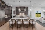 Home in Windsor Springs by Toll Brothers