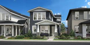 Dailey - Edge at Erie Town Center: Erie, Colorado - Toll Brothers