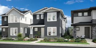 Mayfair - Edge at Erie Town Center: Erie, Colorado - Toll Brothers