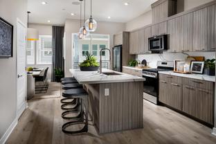 C3 - Mira Vista: San Diego, California - Toll Brothers