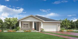 Bridgton - The Oaks at Kelly Park - Morgan Collection: Apopka, Florida - Toll Brothers