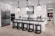 Amalyn - The Maison Collection by Toll Brothers in Washington Maryland