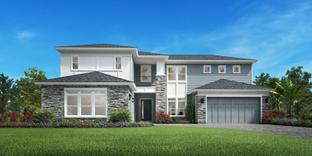 Delmonico - Newbrook - Spruce Collection: Saint Augustine, Florida - Toll Brothers