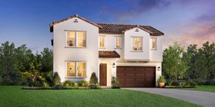 Gallica - Vista Rose: Placentia, California - Toll Brothers