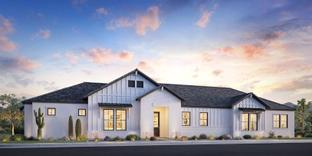 Calistoga - Sterling Grove - Sonoma Collection: Surprise, Arizona - Toll Brothers