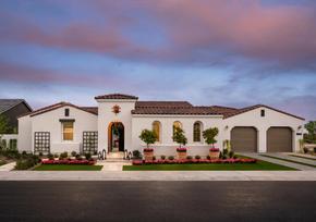 Stonegate Court - Gilbert, AZ