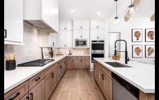 Dunham Pointe - Select Collection: Cypress, Texas - Toll Brothers