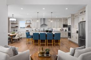 Toll Brothers at Timnath Lakes - Summit Collection - Timnath, CO