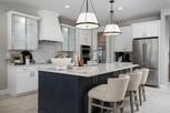 Toll Brothers at Willow - Pine Collection - Punta Gorda, FL