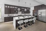 Newbrook - River Birch Collection - Saint Augustine, FL