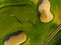 casa en Wandering Creek at Brookhollow - Executive Collection por Toll Brothers