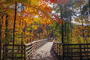 Edgewood by Toll Brothers - West Bloomfield, MI