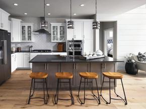 Toll Brothers at Ken-Caryl Ranch - Overlook Collection - Littleton, CO