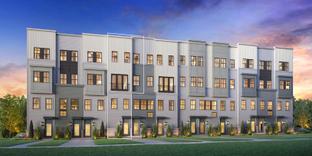 Fernand - Commonwealth Place at Westfields - The Belle Haven Collectio: Chantilly, District Of Columbia - Toll Brothers