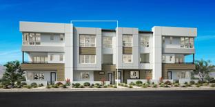 Divini - Toll Brothers at Inspirada - Amiata Collection: Henderson, Nevada - Toll Brothers