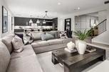 Parkside Village - The Sequoia Collection - Aldie, VA