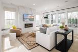 Regency at Olde Towne - Excursion Collection - Raleigh, NC