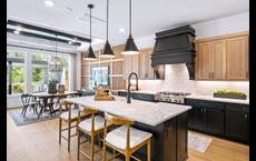 Woodson's Reserve - Sycamore Collection: Spring, Texas - Toll Brothers