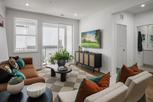 Commonwealth Place at Westfields - The Belle Haven Collectio - Chantilly, VA