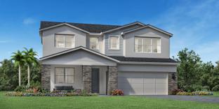 Costello - Bronson Peak - Seville Collection: Apopka, Florida - Toll Brothers