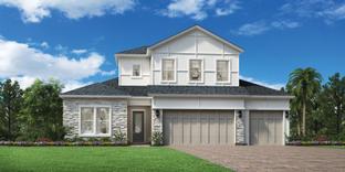Barnwell Elite - Newbrook - Juniper Collection: Saint Augustine, Florida - Toll Brothers