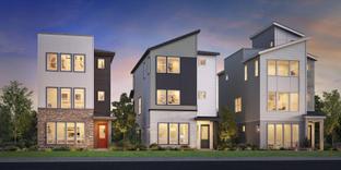 Larimer - Heights at DTC: Centennial, Colorado - Toll Brothers