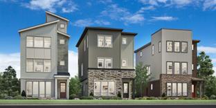 Larimer - Heights at DTC: Centennial, Colorado - Toll Brothers