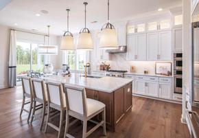 Regency at Stone Meadows Farm - Estates Collection - Langhorne, PA