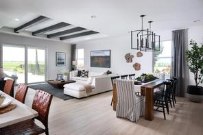 44494 Little Blue Heron Way (Birchwood)