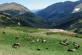 Venado Valley - Carson City, NV