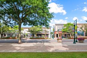 The Towns at Plymouth Walk - Plymouth, MI