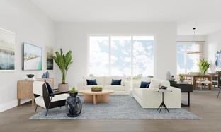 Belmar - Seven Shores - Port Collection: Naples, Florida - Toll Brothers