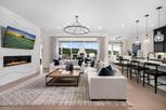 Regency at Chambers Creek - Blossom Collection - Willis, TX